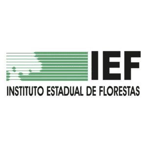 IEF